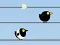 Spēle Gone with the Birds online