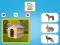 Spēle Who Lives Here online