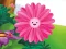 Spēle Funny Flowers Jigsaw online