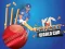 Spēle Cricket World Cup Game online
