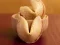 Spēle Fortune Cookies online