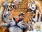 Spēle Jigsaw Puzzles Classic online