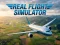 Spēle Real Flight Simulator online