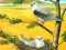 Spēle Birds Of Prey Puzzle online