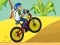 Spēle BMX Boy Online online