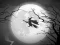 Spēle The Night Of the Witches Jigsaw online