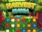 Spēle Harvest Mania online