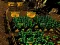 Spēle Pixel Farm online