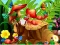 Spēle Hidden Objects Insects online