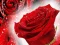 Spēle Red Roses online
