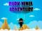Spēle Dark Ninja Adventure online