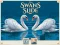 Spēle Swans Slide online