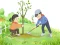 Spēle Arbor Day Puzzle online