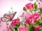 Spēle Butterflies Puzzle online