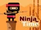 Spēle Ninja Time online