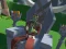 Spēle Lazy Orcs: Arena online