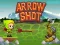 Spēle Arrow Shoot online