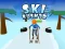 Spēle Ski Rush 3d online