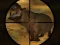 Spēle Classical Hippo Hunting online