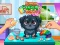 Spēle Funny Puppy Care online