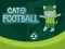 Spēle Cat Football online