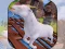 Spēle Angry Goat Rampage Craze Simulator online