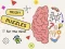 Spēle Brain Puzzles Quests online
