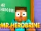 Spēle Mr Herobrine online