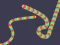 Spēle Slither Classic online