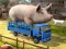 Spēle Driver Master Simulator online