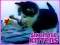 Spēle Six Little Kittens online