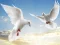 Spēle Flying Birds online