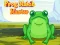 Spēle Frog Match Master online