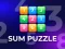 Spēle Sum Puzzle: Arithmetic online