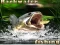 Spēle Backwater Fishing online