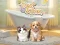 Spēle Pet Salon online