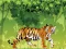 Spēle Angry Tiger Coloring online