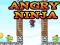 Spēle Angry Ninja online
