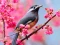 Spēle Lovable Birds online