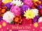 Spēle 2019 Mother's Day Puzzle online