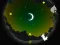 Spēle Alpaca Run online