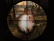 Spēle Classical Rabbit Sniper Hunting 2019 online