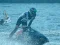 Spēle Power Boat Racing 3D online