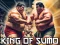 Spēle King Of Sumo the ultimate brawl online