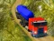 Spēle Indian Cargo Truck Simulator online
