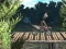Spēle Bike Trial Xtreme Forest online