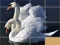 Spēle Animals Slide Puzzle online