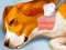 Spēle Dog Hospital online