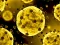 Spēle Coronavirus Slide online