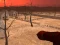 Spēle Wasteland Shooters online